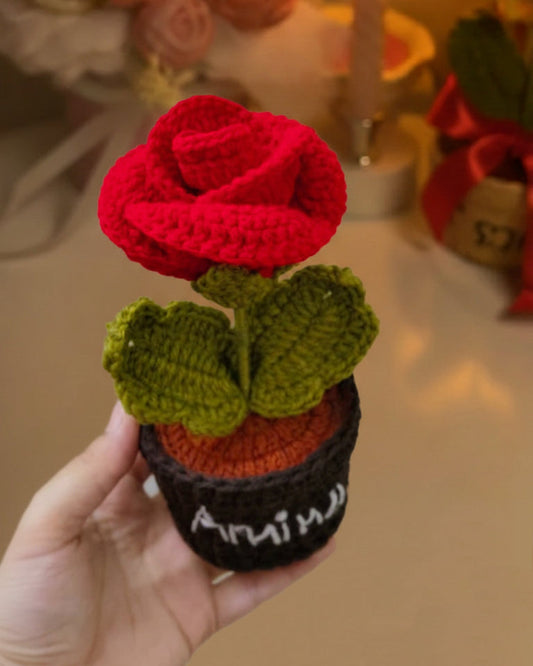 The Devotion Rose Pot - Exclusive