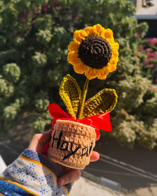 Sunflower pot 7 inches