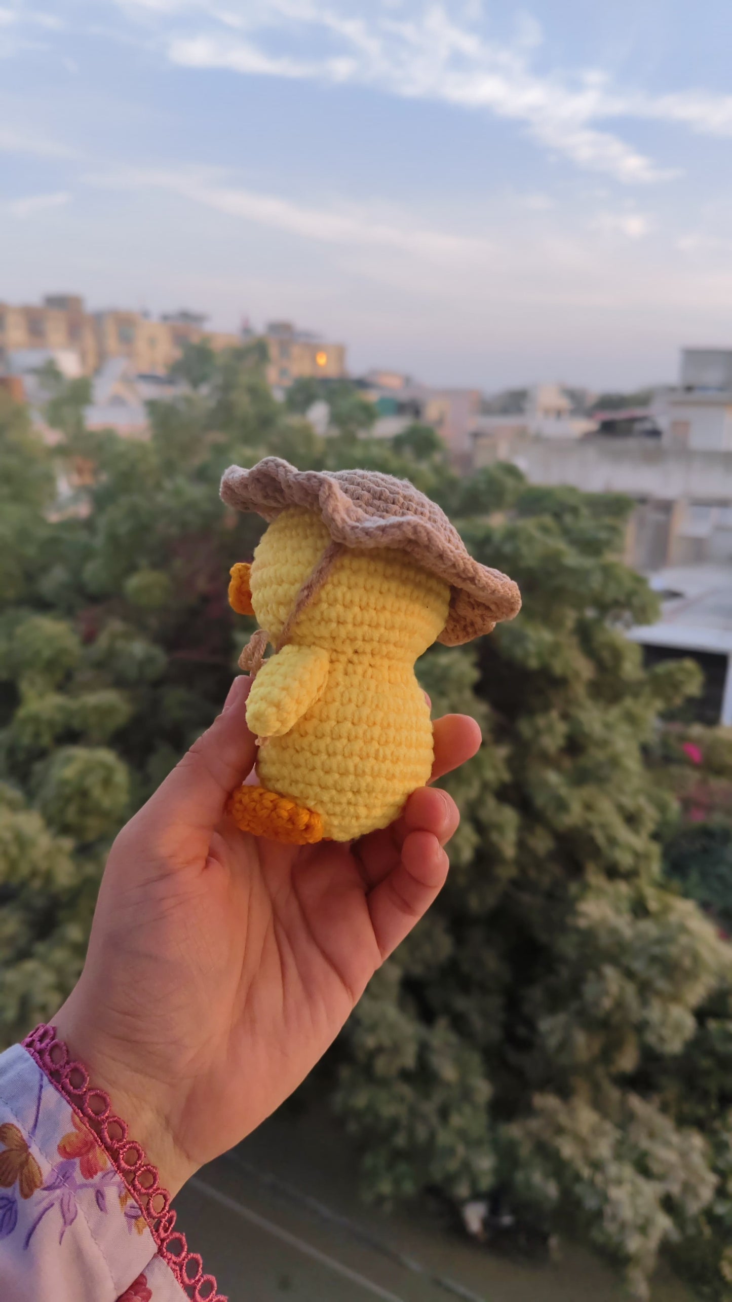 Little Pocket Duckling