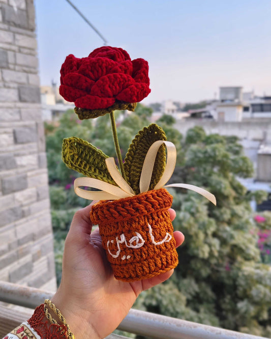 Rose Flower Pot (7 Inches)