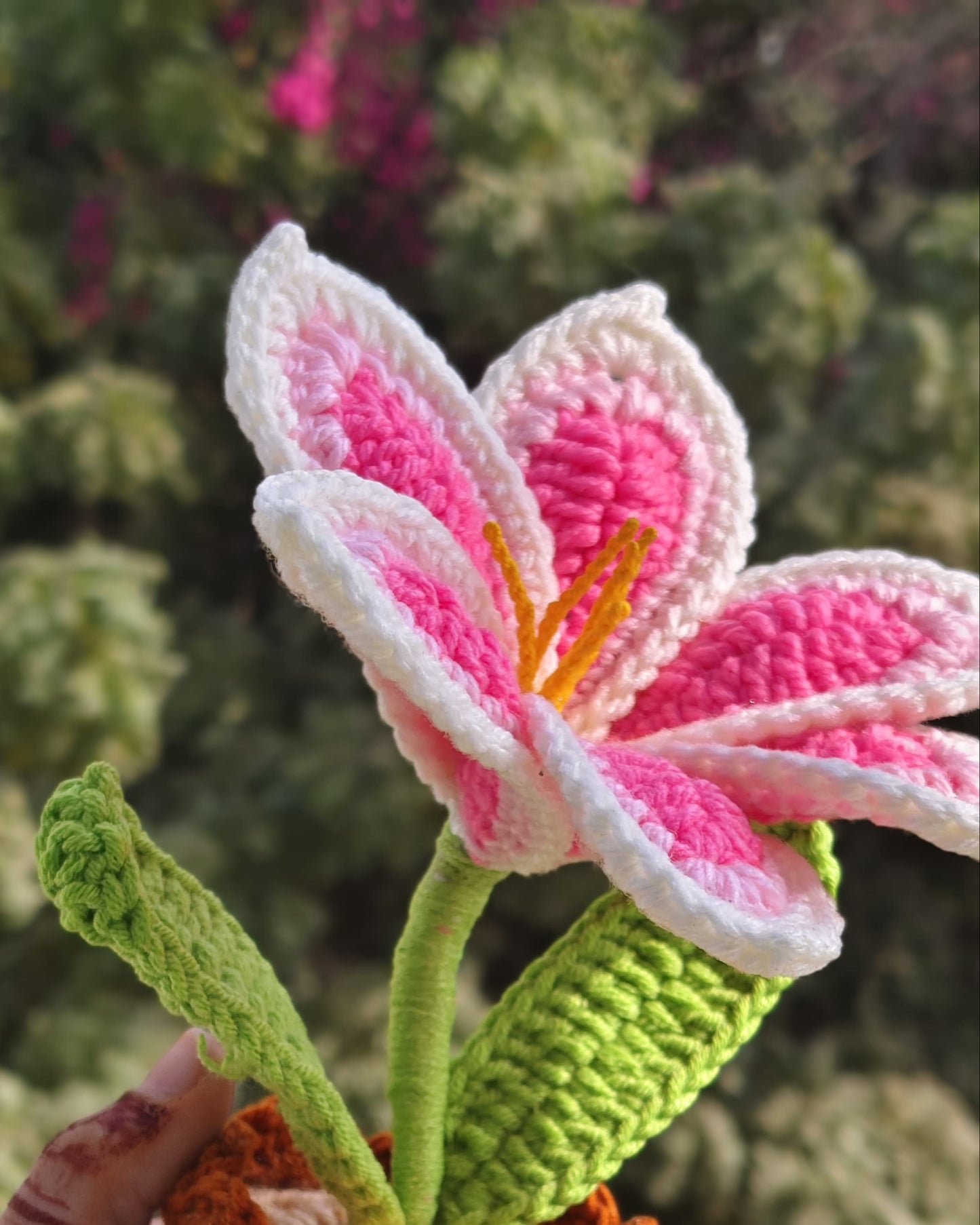 Gradient Pink Lily Pot