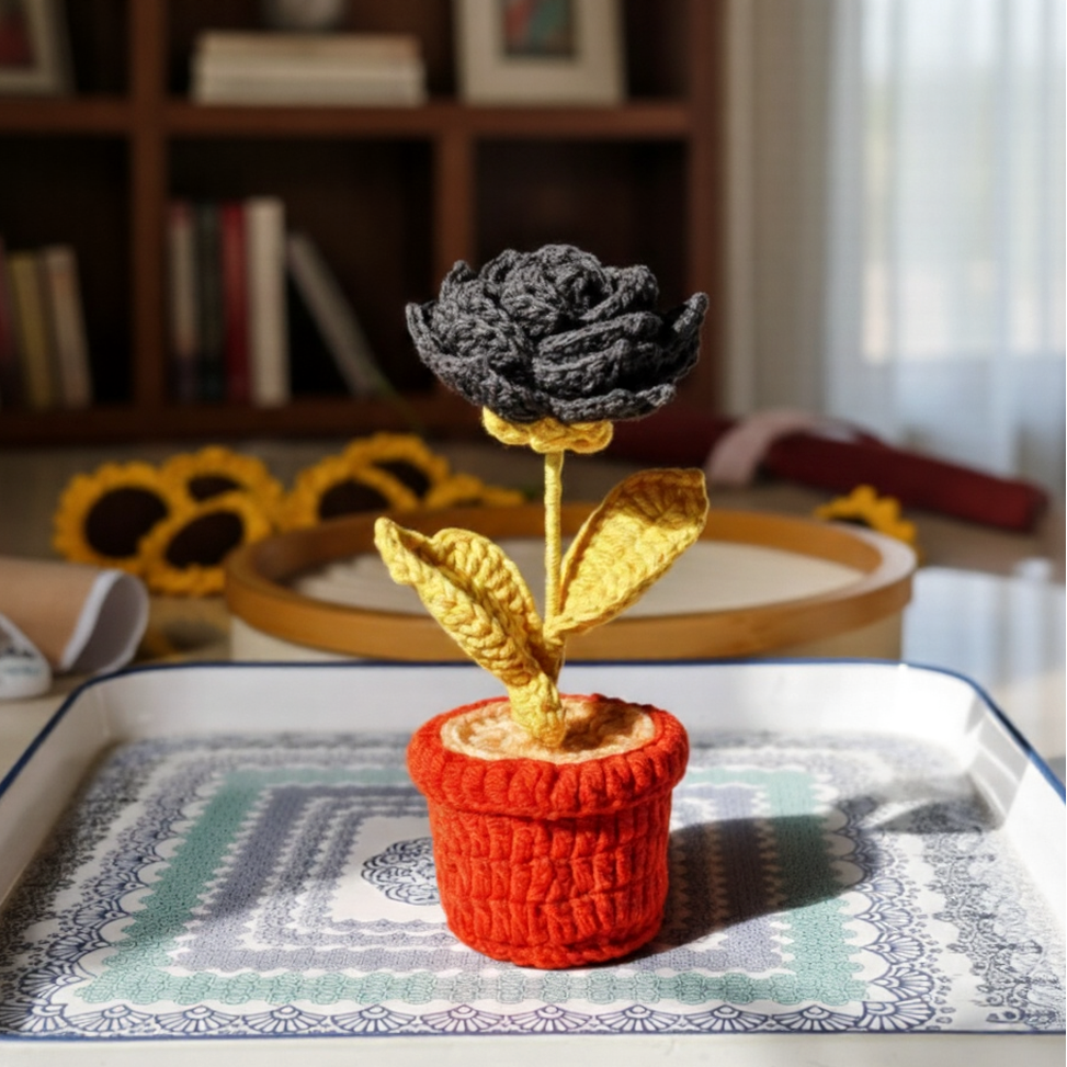 Black Rose Pot ( 7 inches )