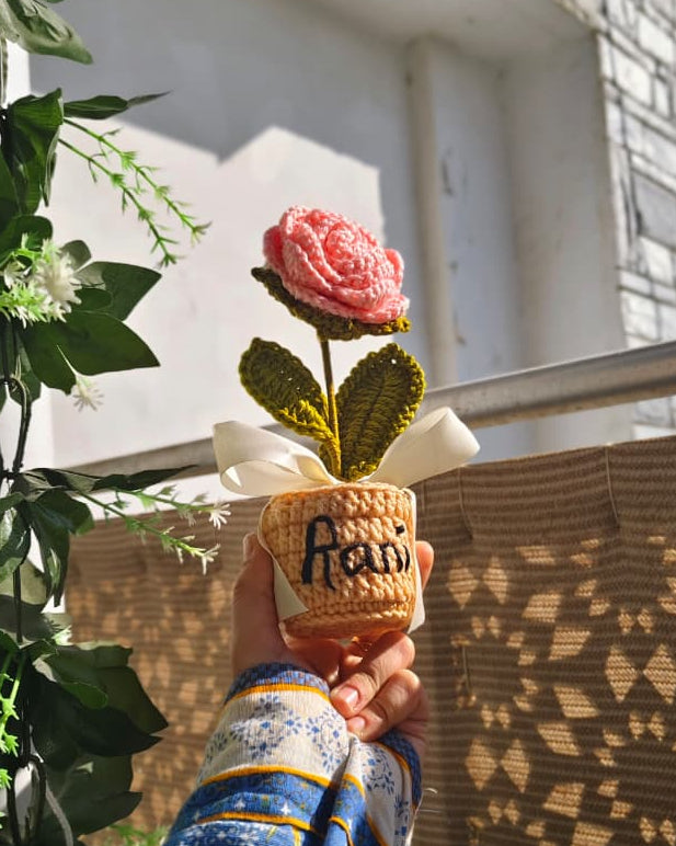 Peach Rose Pot ( 7 Inches )