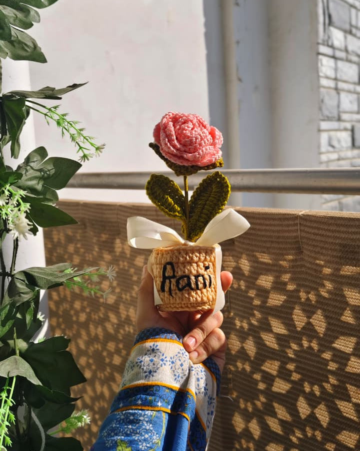 Peach Rose Pot ( 7 Inches )