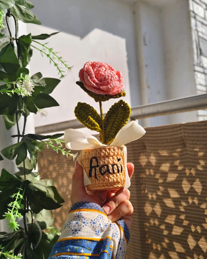 Peach Rose Pot ( 7 Inches )