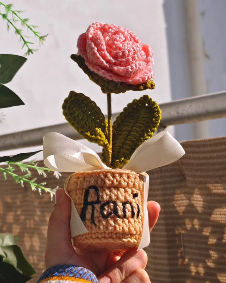 Peach Rose Pot ( 7 Inches )