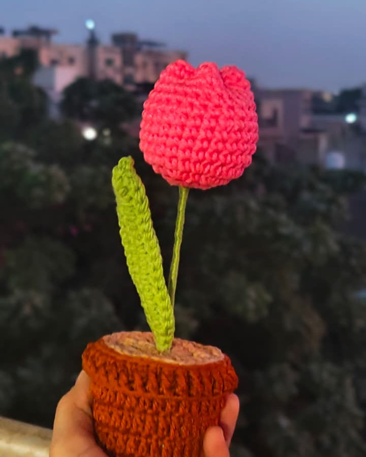 Tulip Flower Pot (7 inches)