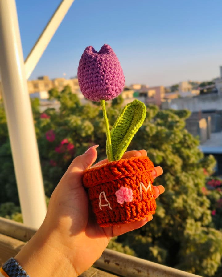 Tulip Flower Pot (7 inches)