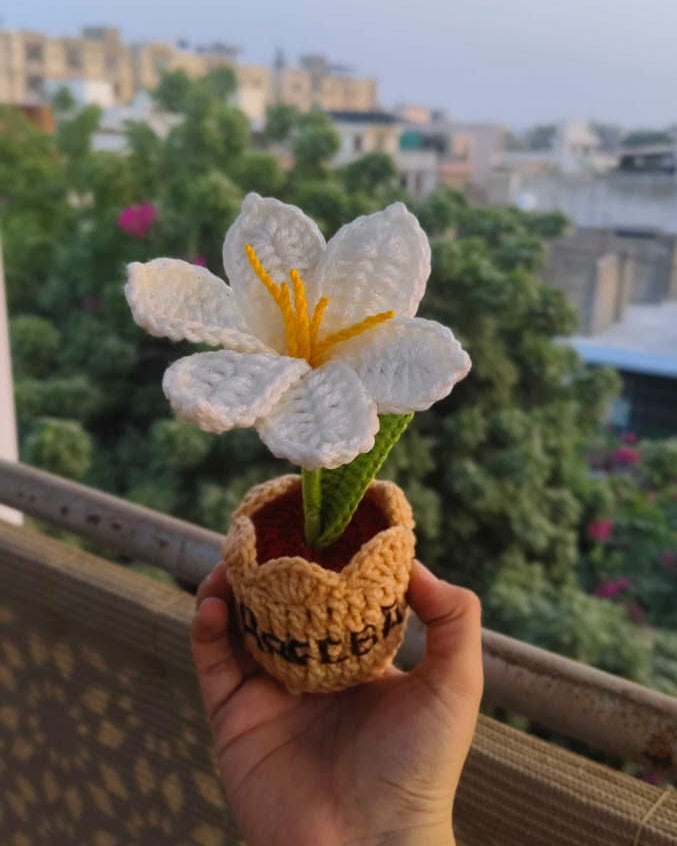 White Lily Flower Pot