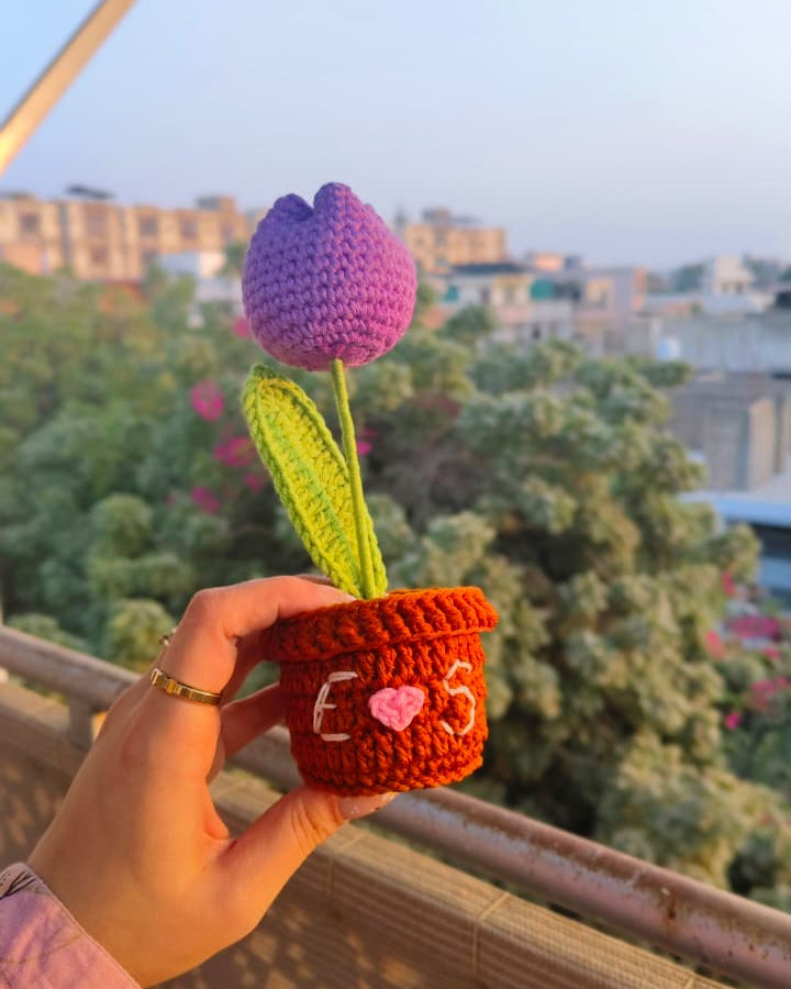 Tulip Flower Pot (7 inches)