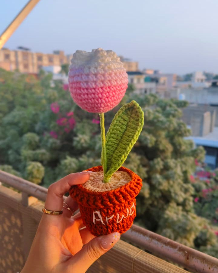 Tulip Flower Pot (7 inches)