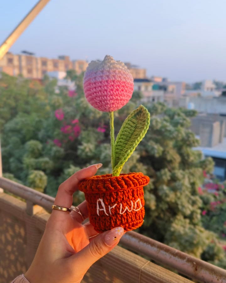 Tulip Flower Pot (7 inches)