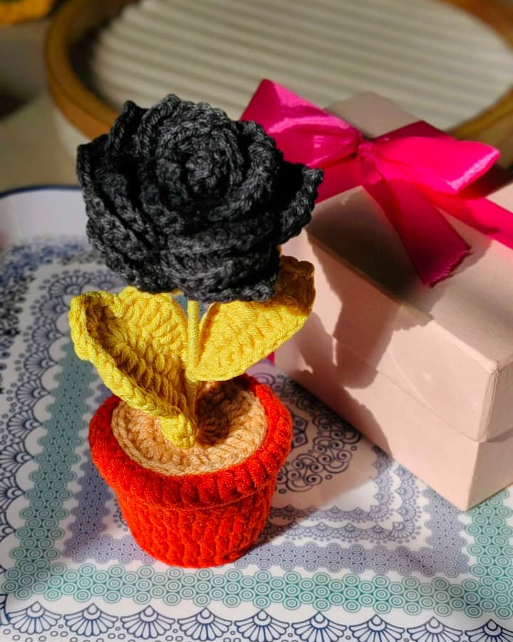 Black Rose Pot ( 7 inches )