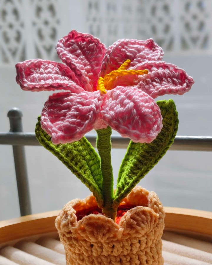 Pink Lily Pot ( 7 Inches )