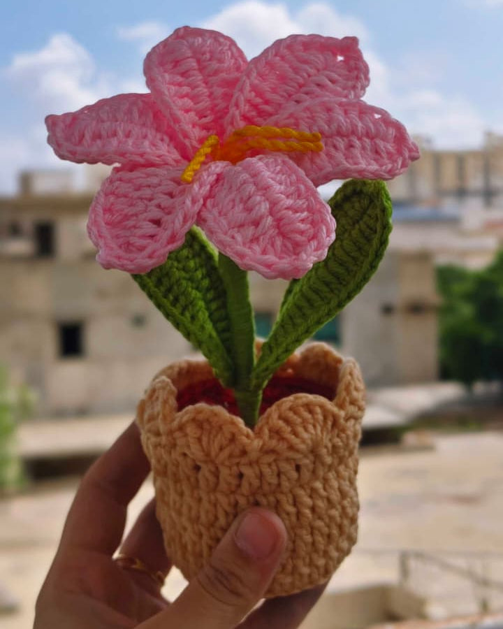 Pink Lily Pot ( 7 Inches )