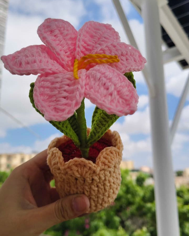 Pink Lily Pot ( 7 Inches )