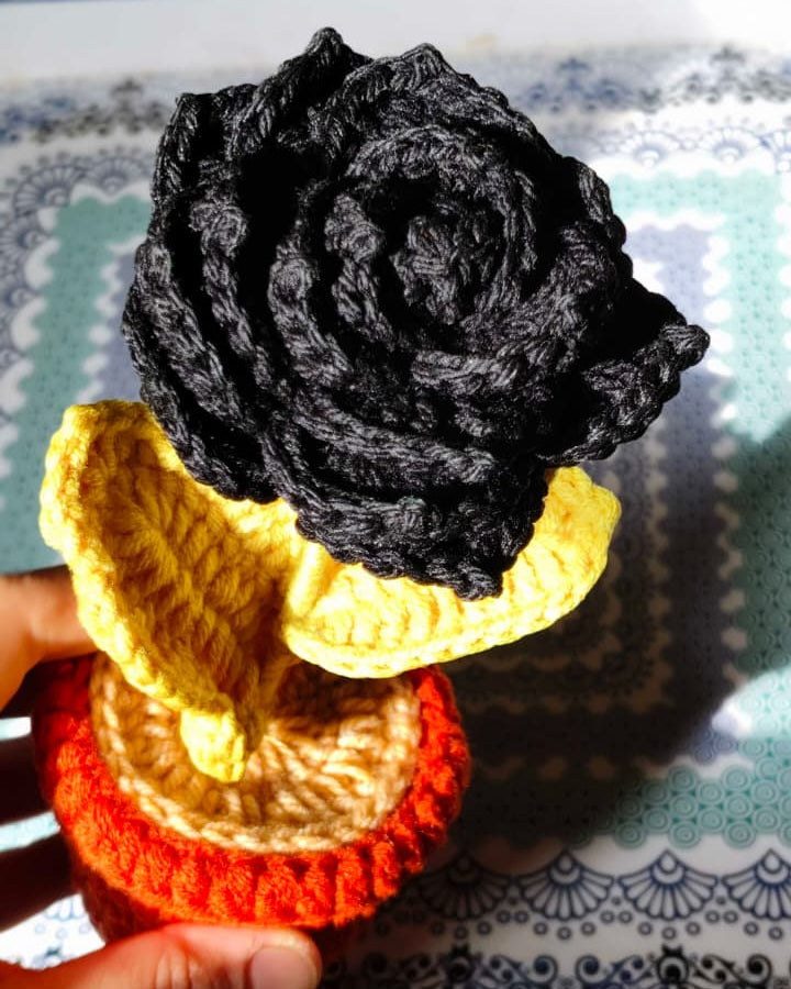 Black Rose Pot ( 7 inches )