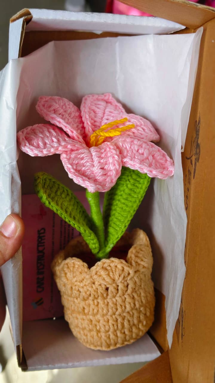 Pink Lily Pot ( 7 Inches )