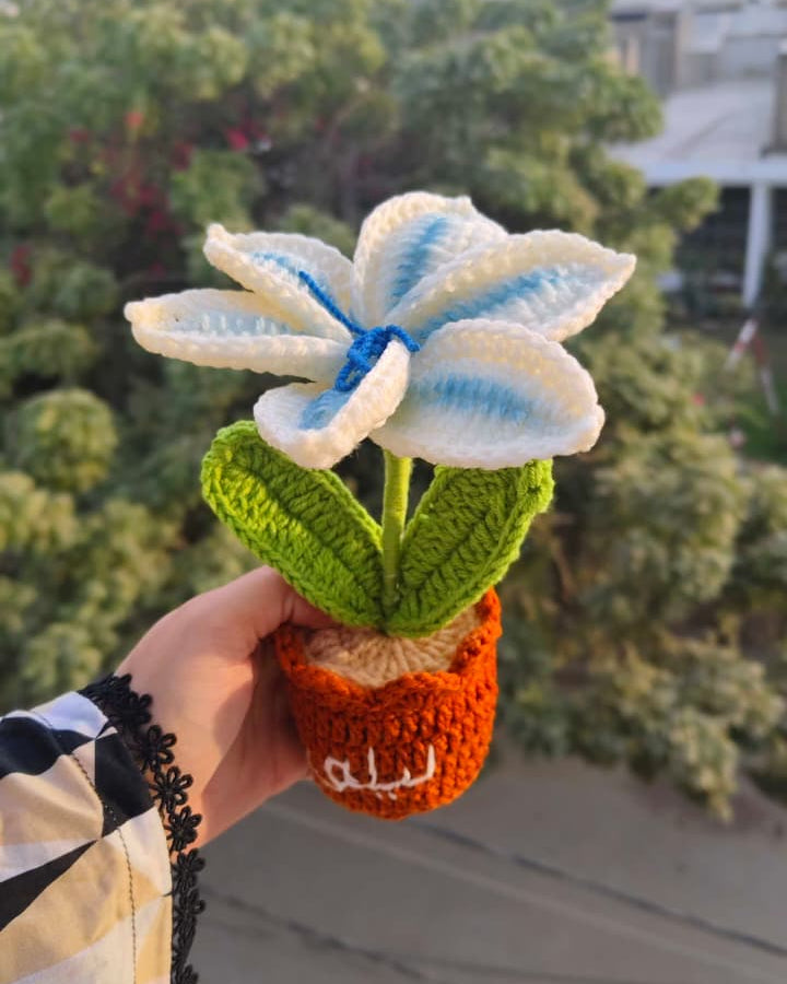 Gradient Blue Lily Pot