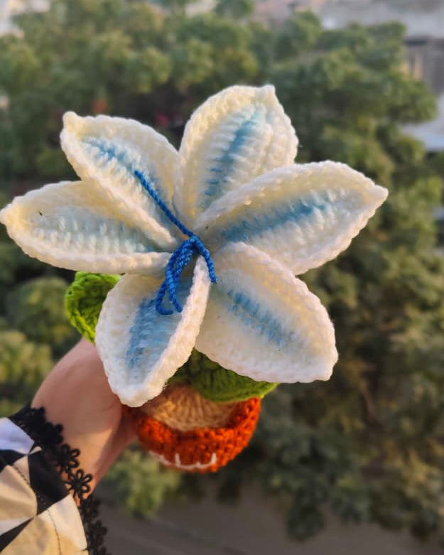 Gradient Blue Lily Pot