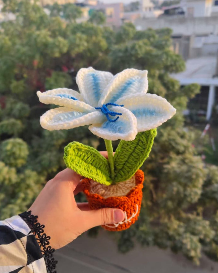 Gradient Blue Lily Pot