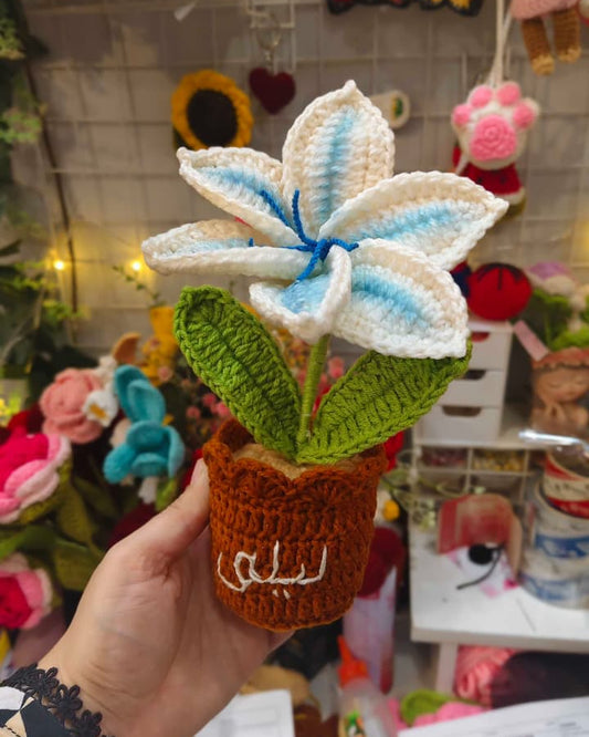 Gradient Blue Lily Pot