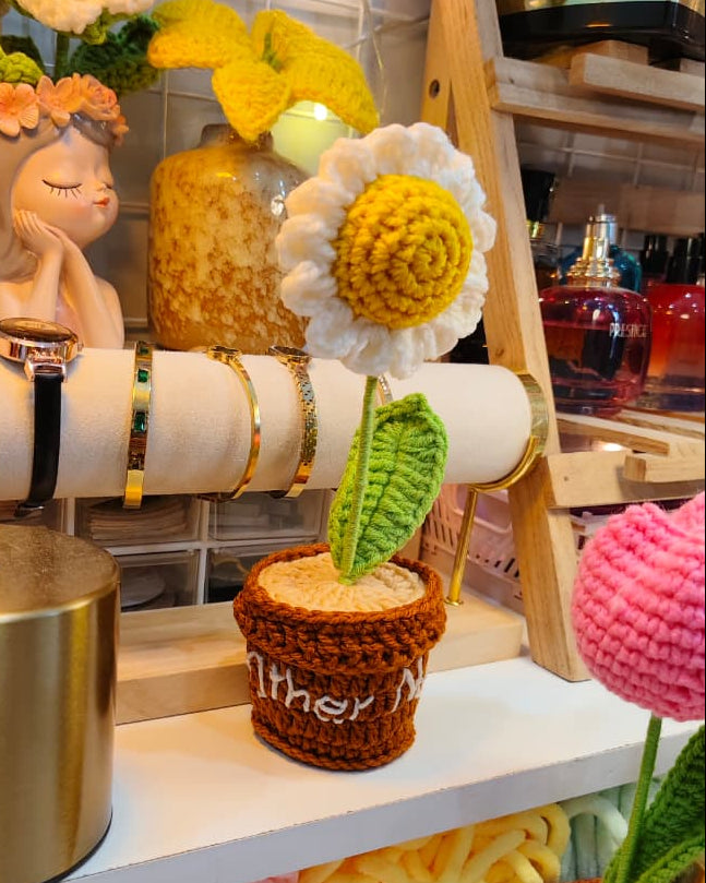 Daisy flower pot (7 inches)