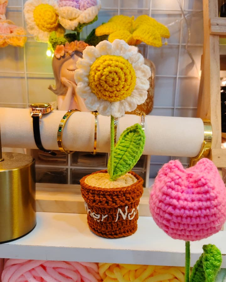 Daisy flower pot (7 inches)