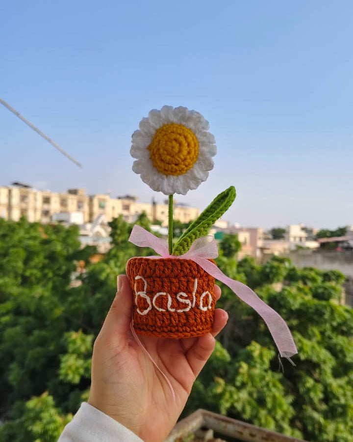 Daisy flower pot (7 inches)