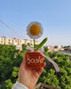Daisy flower pot (7 inches)