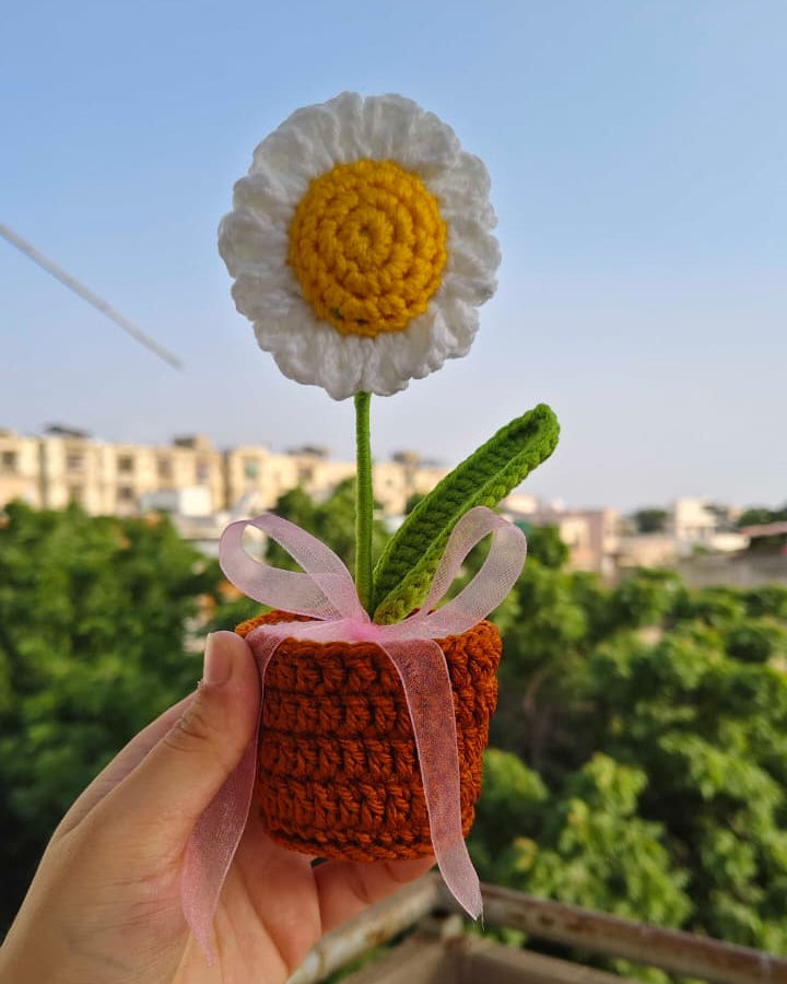 Daisy flower pot (7 inches)