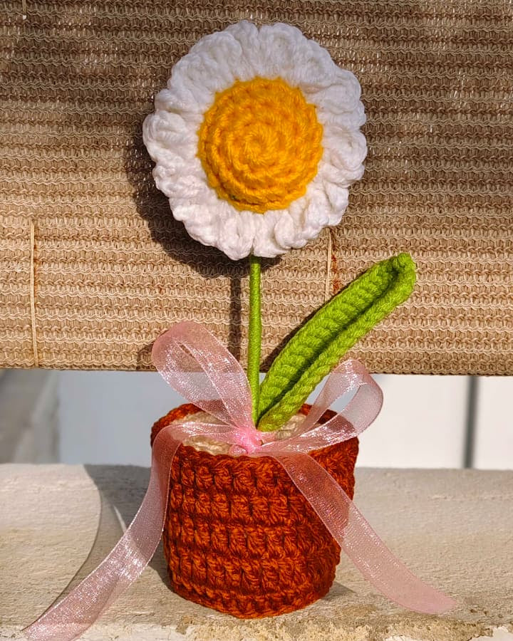 Daisy flower pot (7 inches)