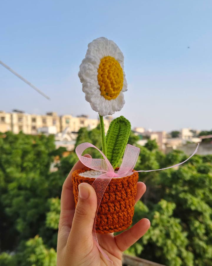 Daisy flower pot (7 inches)