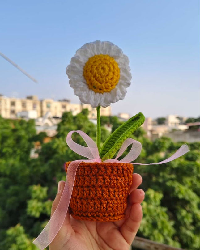 Daisy flower pot (7 inches)