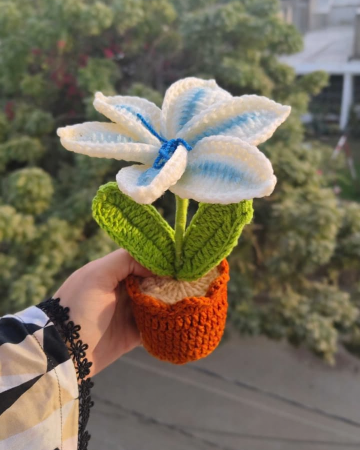 Gradient Blue Lily Pot