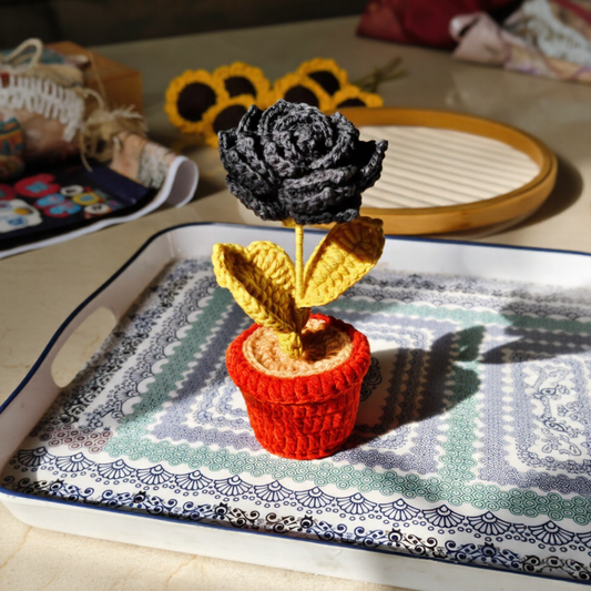 Black Rose Pot ( 7 inches )