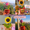 Luvette Gift Box bundle