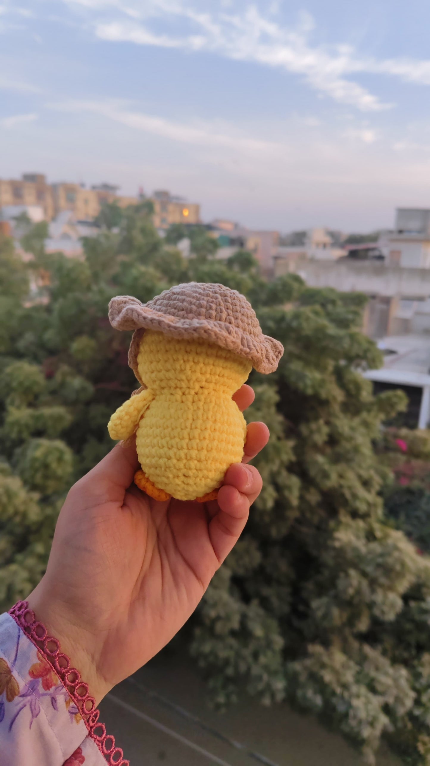 Little Pocket Duckling