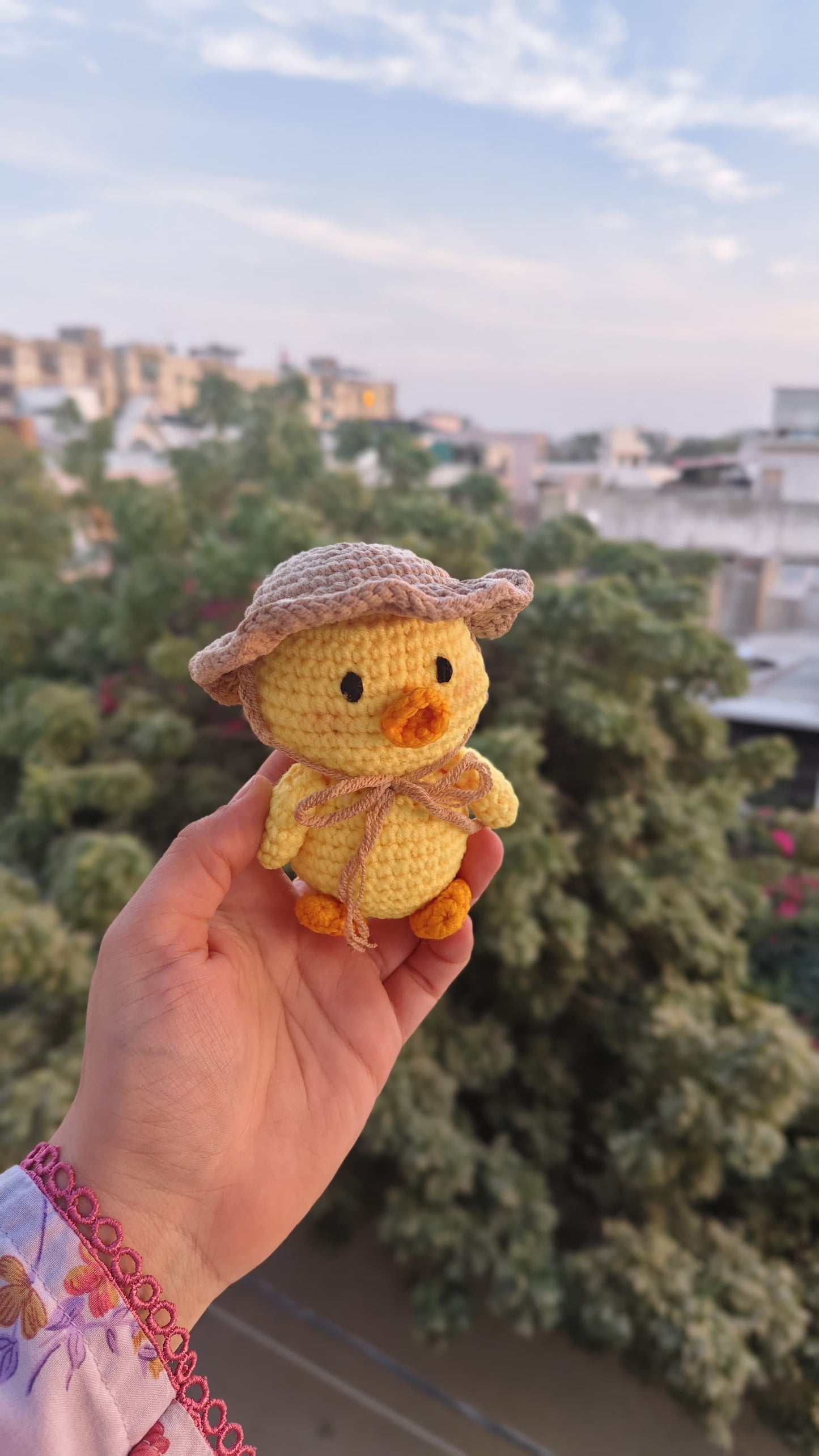 Little Pocket Duckling