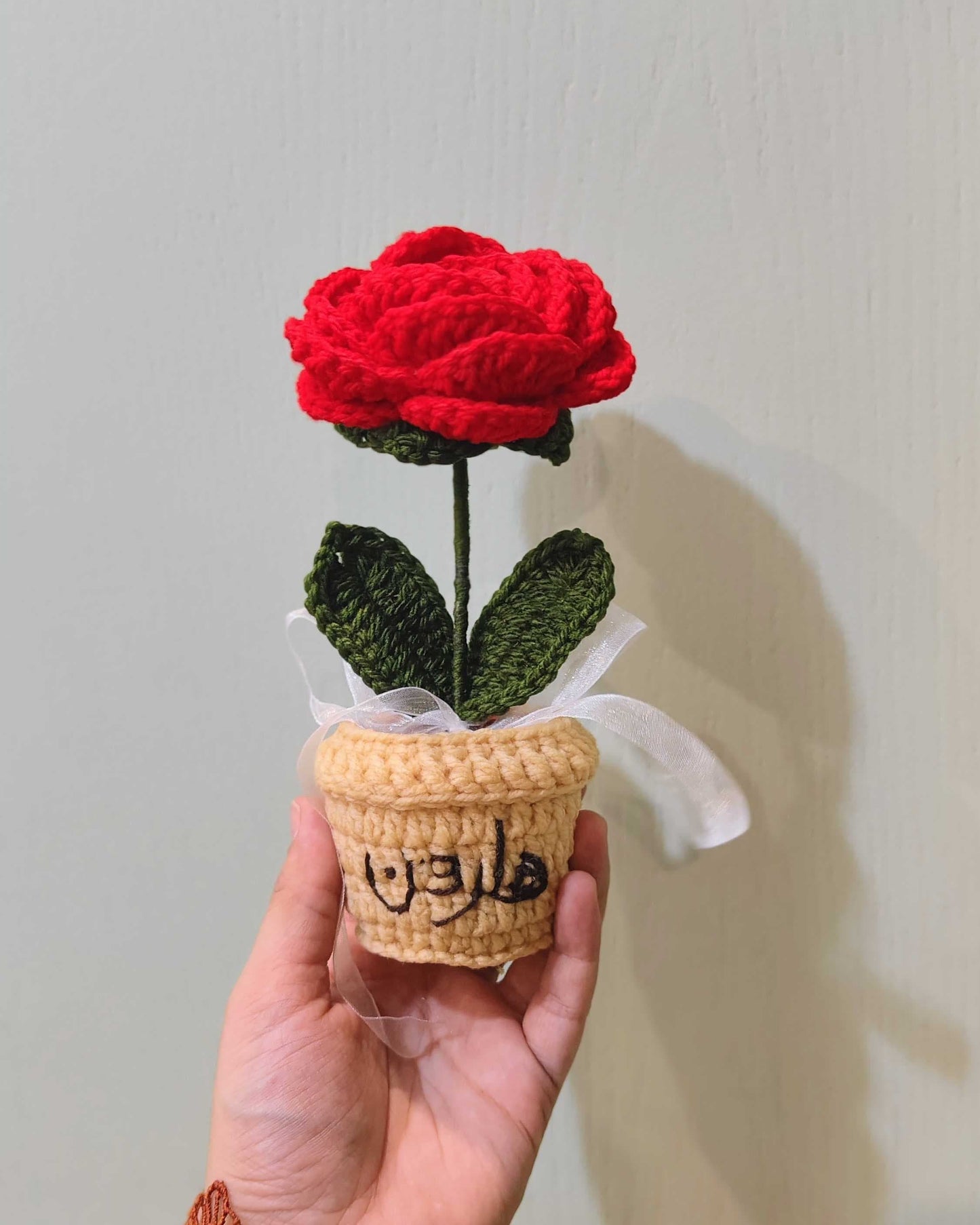 Rose Flower Pot (7 Inches)