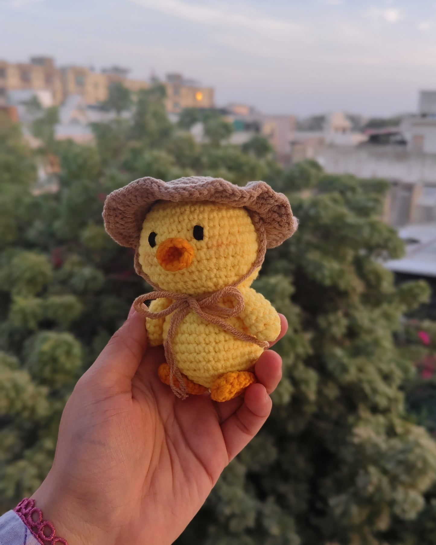 Little Pocket Duckling