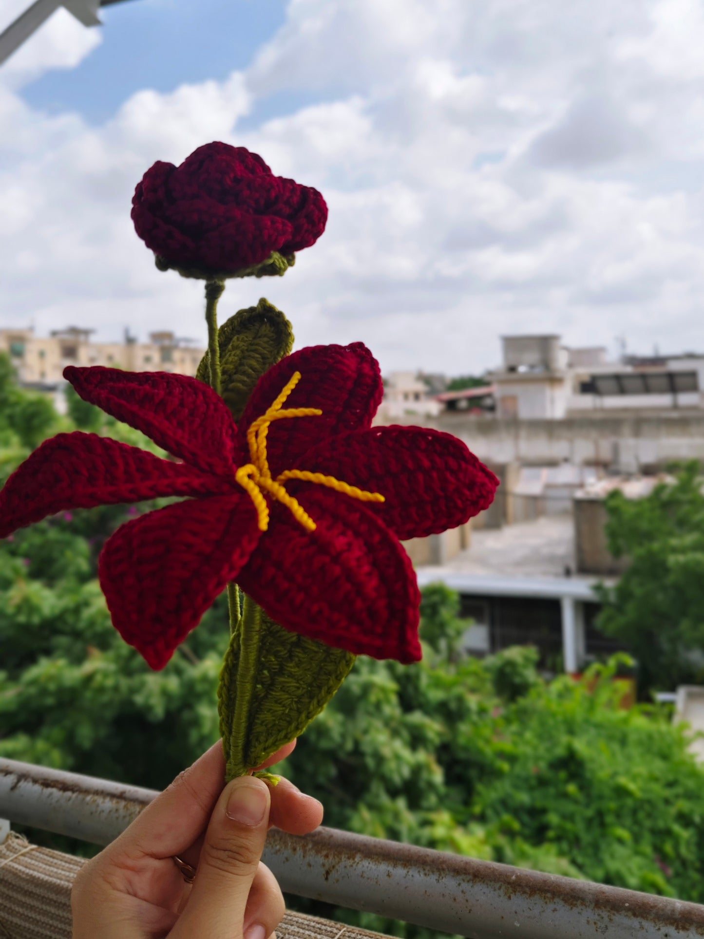 Maroon Lily Bloom #34