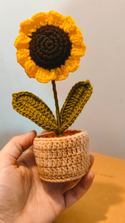 Sunflower pot 7 inches