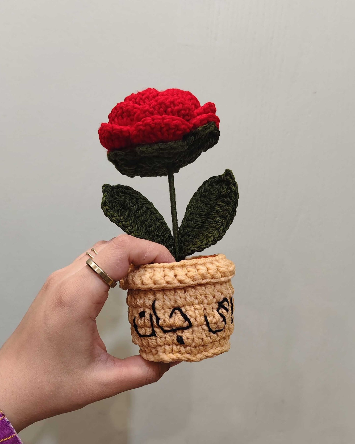 Rose Flower Pot (7 Inches)