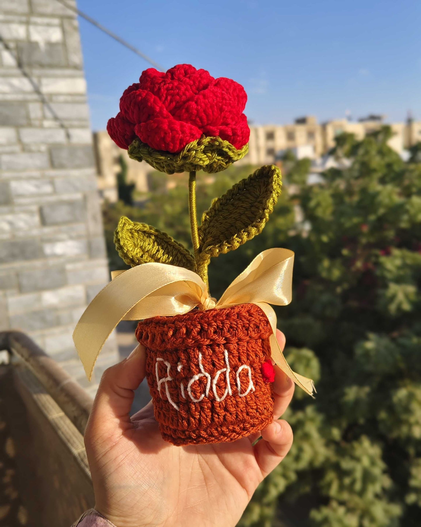 Rose Flower Pot (7 Inches)