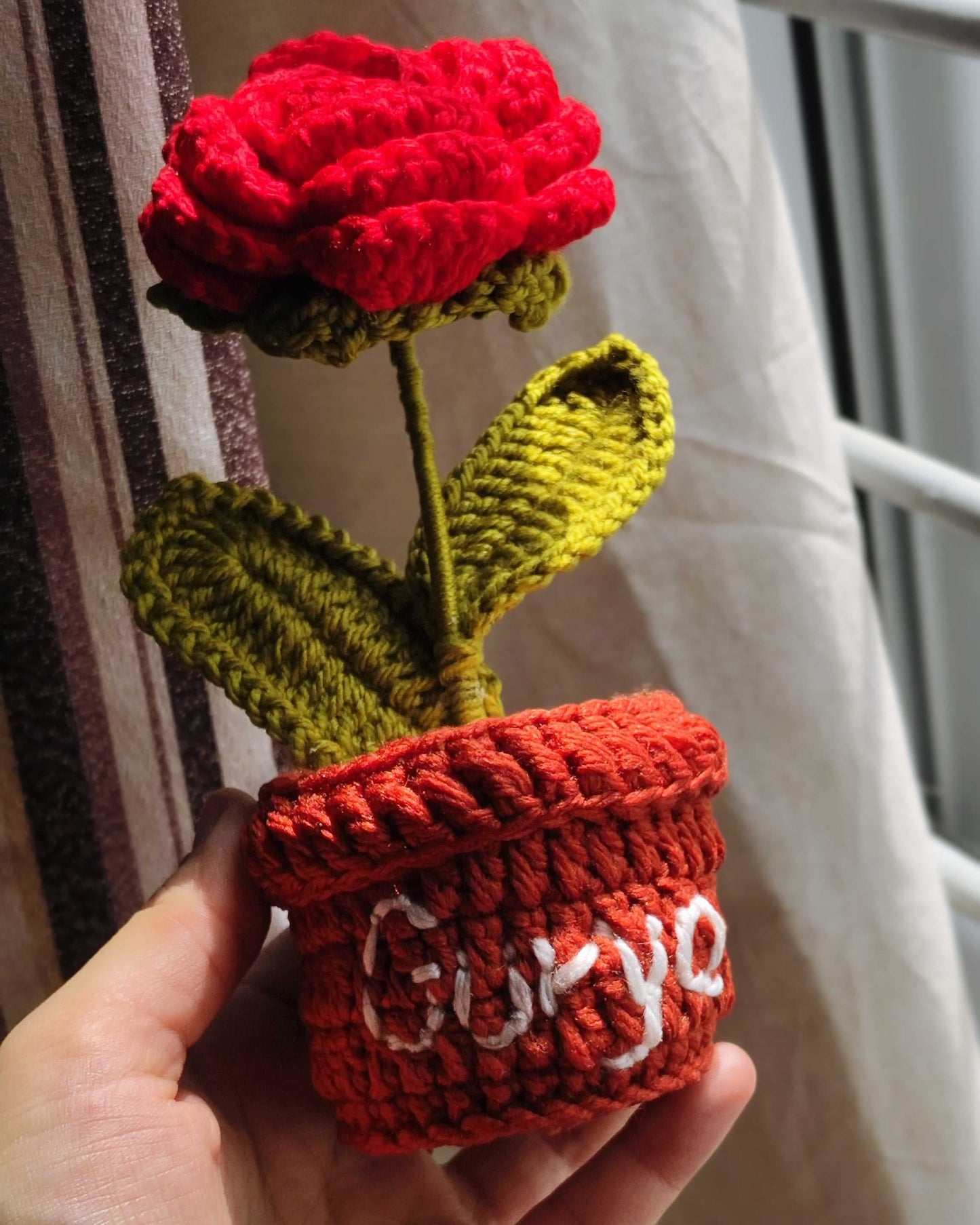 Rose Flower Pot (7 Inches)