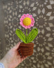 Pink Daisy Pot (7 inches)