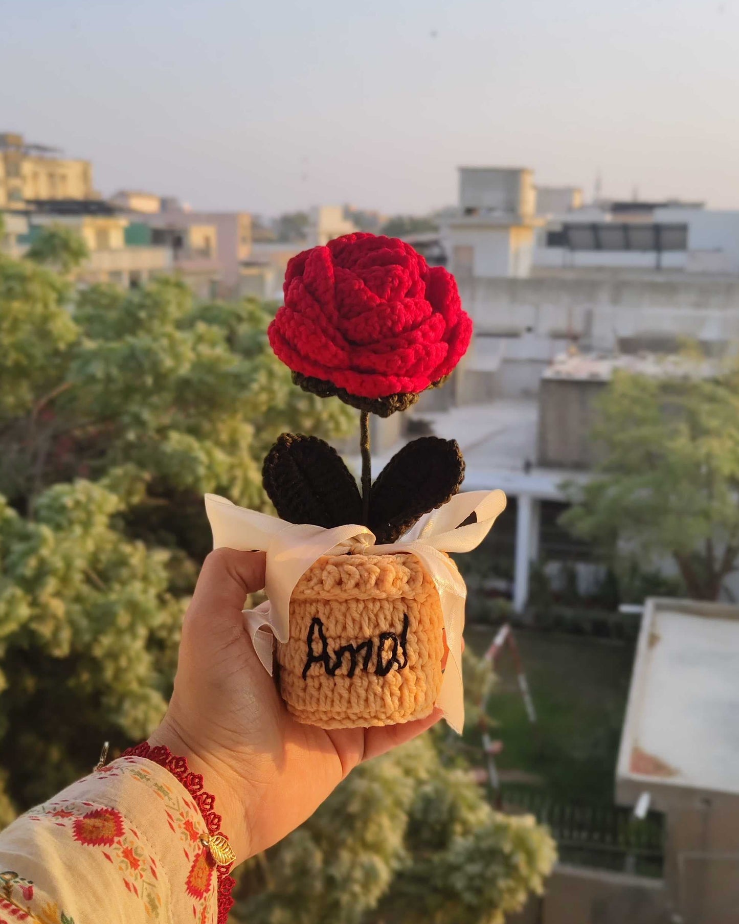 Rose Flower Pot (7 Inches)