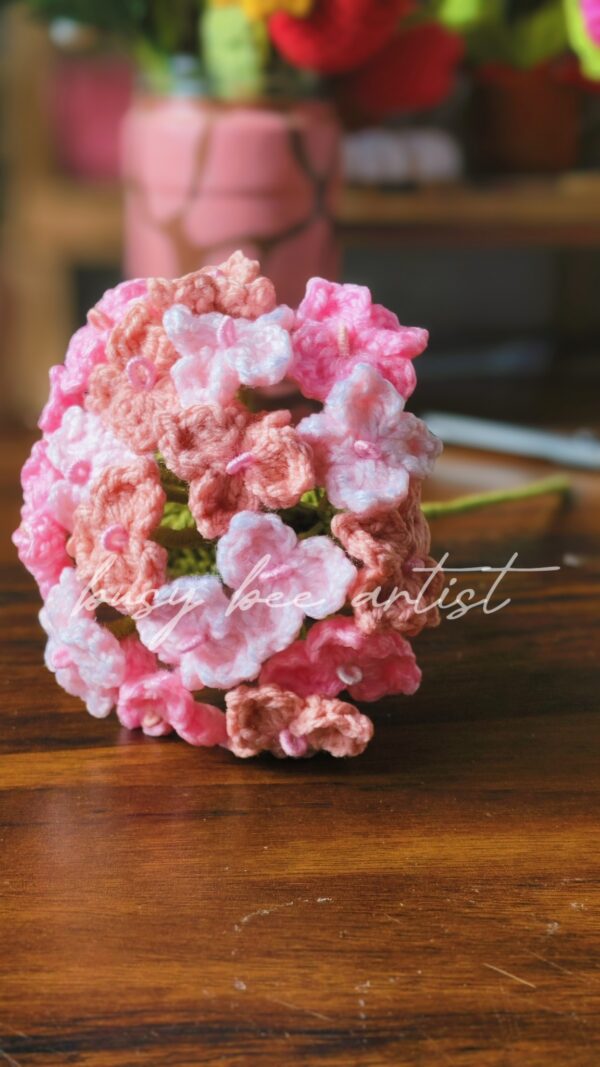Single Hydrangea flower branch